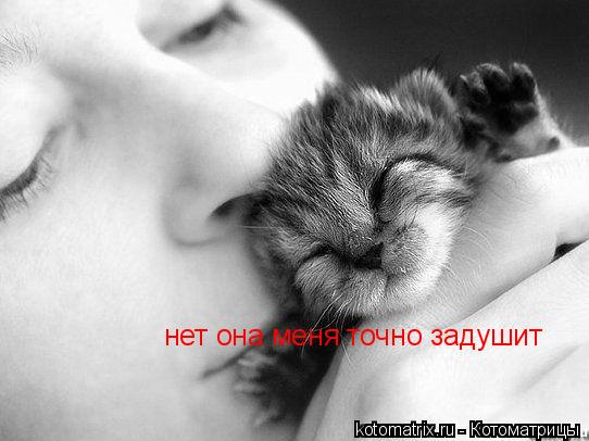 Котоматрица: нет она меня точно задушит
