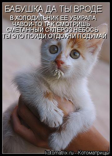 БАБУШКА ДА ТЫ ВРОДЕ В ХОЛОДИЛЬНИК ЕЕ УБИРАЛА ЧАВОИ-ТО ТАК СМОТРИШЬ СМЕТАННЫЙ СКЛЕРОЗ НЕБОСЬ ТЫ ЭТО ... Котоматрица: БАБУШКА ДА ТЫ ВРОДЕ В ХОЛОДИЛЬНИК ЕЕ УБИРАЛА ЧАВОИ-ТО ТАК СМОТРИШЬ СМЕТАННЫЙ СКЛЕРОЗ НЕБОСЬ ТЫ ЭТО ПОИДИ ОТДОХНИ ПОДУМАЙ