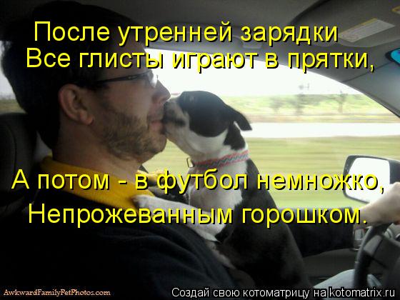 Котоматрица: А потом - в футбол немножко, Непрожеванным горошком.  Все глисты играют в прятки,  После утренней зарядки