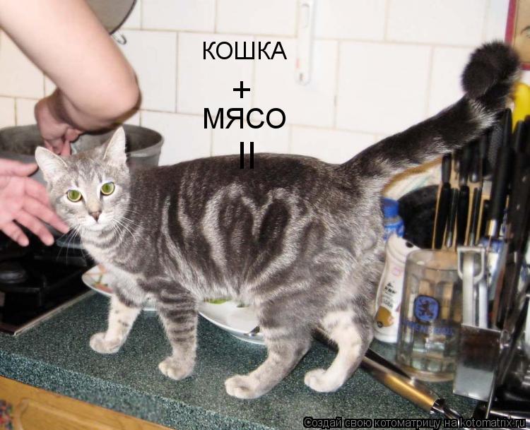 Котоматрица: КОШКА + МЯСО II