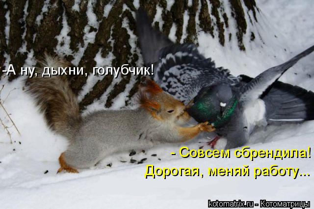 -А ну, дыхни, голубчик! - Совсем сбрендила! Дорогая, меняй работу...... Котоматрица: -А ну, дыхни, голубчик! - Совсем сбрендила! Дорогая, меняй работу...