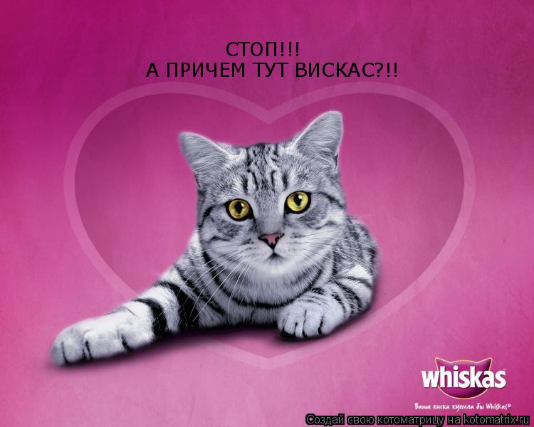 Котоматрица: СТОП!!! А ПРИЧЕМ ТУТ ВИСКАС?!!