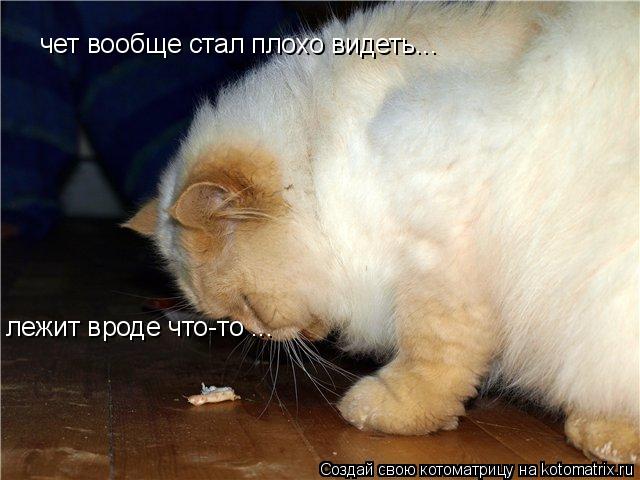 Котоматрица: чет вообще стал плохо видеть...  лежит вроде что-то ...