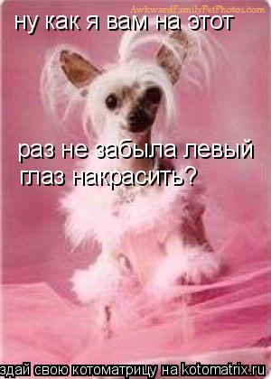 Котоматрица: ну как я вам на этот раз не забыла левый  глаз накрасить?