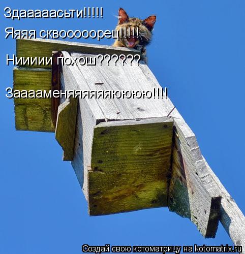 Котоматрица: Здааааасьти!!!!! Яяяя сквооооорец!!!!! Ниииии похош?????? Зааааменяяяяяяюююю!!!!