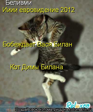 Котоматрица: Беливми Ииии евровидение 2012  Бобеждает Вася Билан Кот Димы Билана