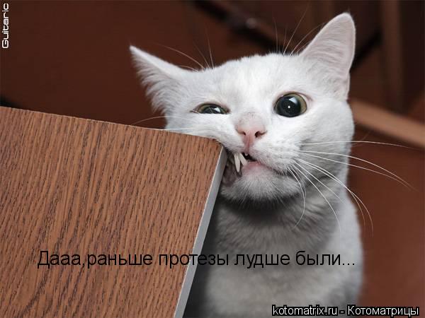 Котоматрица: Дааа,раньше протезы лудше были...