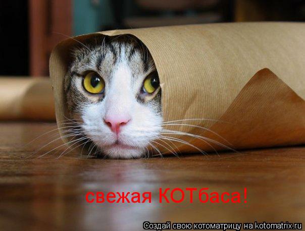 Котоматрица: свежая КОТбаса!