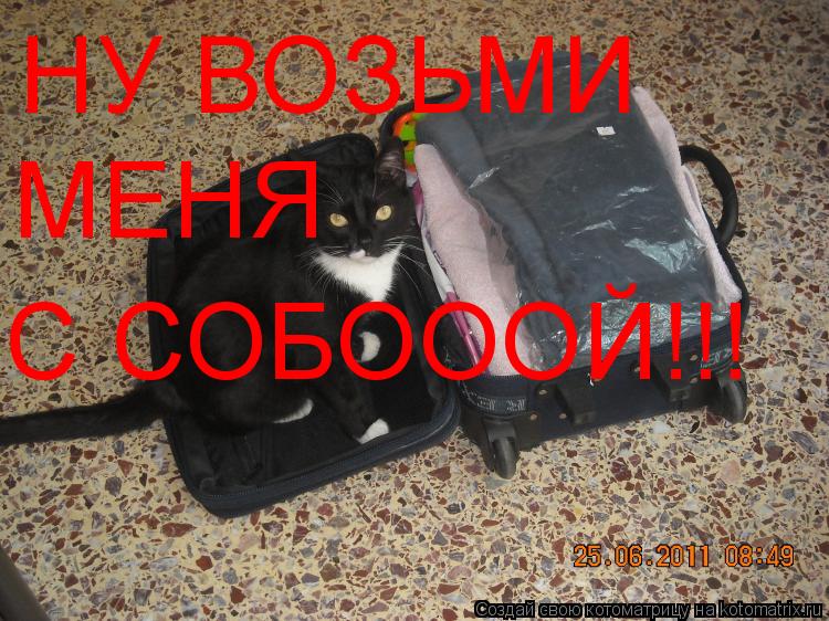 Котоматрица: НУ ВОЗЬМИ МЕНЯ  С СОБОООЙ!!!