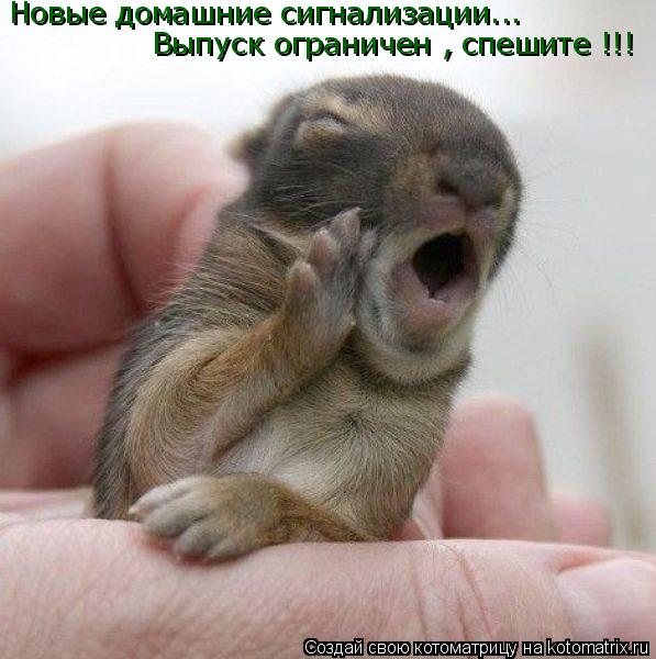 Котоматрица: Новые домашние сигнализации... Выпуск ограничен , спешите !!!