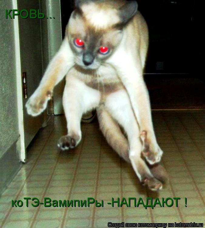 Котоматрица: КРОВЬ... коТЭ-ВамипиРы -НАПАДАЮТ !