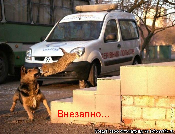 Котоматрица: Внезапно...