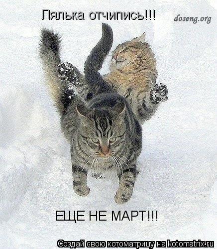 Котоматрица: Лялька отчипись!!! ЕЩЕ НЕ МАРТ!!!