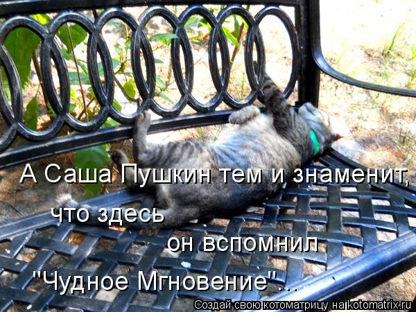 Котоматрица: А Саша Пушкин тем и знаменит, что здесь он вспомнил "Чудное Мгновение"...