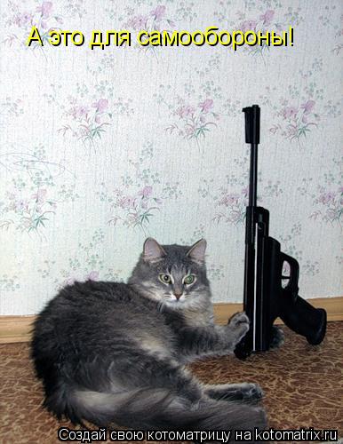 Котоматрица: А это для самообороны!