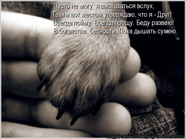 Котоматрица: Пусть не могу  я высказаться вслух, Всегда пойму. Всегда прощу. Беду развею! В богатстве, бедности. Пока дышать сумею.  Таким вот жестом утвер