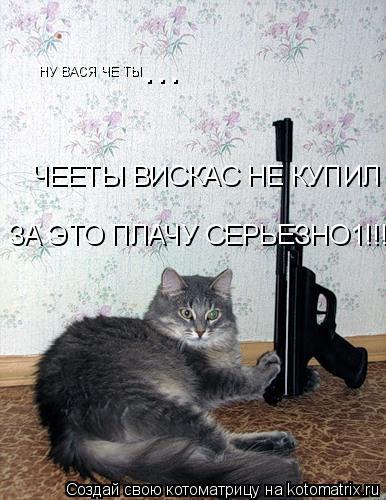 Котоматрица: НУ ВАСЯ ЧЕ ТЫ ... ЧЕЕТЫ ВИСКАС НЕ КУПИЛ ЗА ЭТО ПЛАЧУ СЕРЬЕЗНО1!!!1!!!!!!!!  ЗА ЭТО ПЛАЧУ СЕРЬЕЗНО1!!!1!!!!!!!!