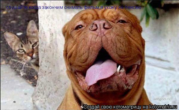 Котоматрица: слушайте когда закончим снимать фильм я ухожу на пенсию