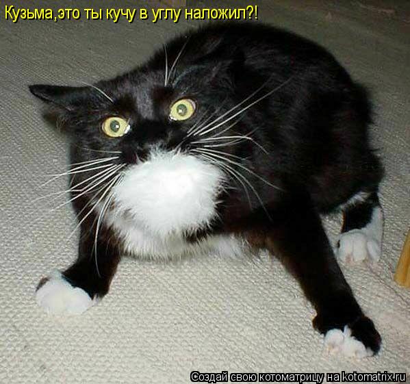 Котоматрица: Кузьма,это ты кучу в углу наложил?!