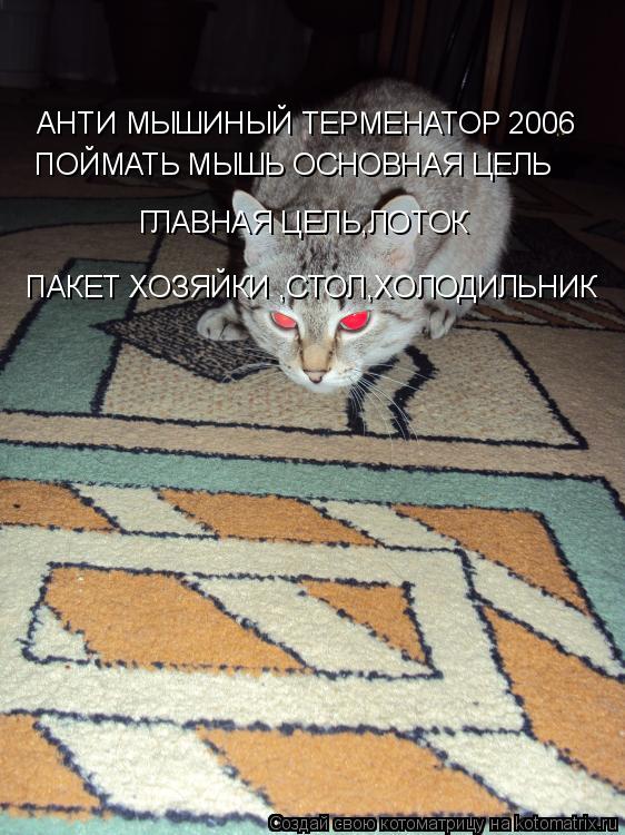 Котоматрица: АНТИ МЫШИНЫЙ ТЕРМЕНАТОР 2006 ПОЙМАТЬ МЫШЬ ОСНОВНАЯ ЦЕЛЬ ПАКЕТ ХОЗЯЙКИ ,СТОЛ,ХОЛОДИЛЬНИК,ЛОТОК ПАКЕТ ХОЗЯЙКИ ,СТОЛ,ХОЛОДИЛЬНИК ГЛАВНАЯ ЦЕЛЬ,Л