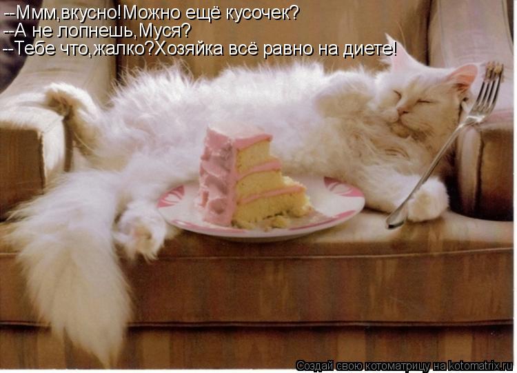 Котоматрица: --Ммм,вкусно!Можно ещё кусочек? --А не лопнешь,Муся? --Тебе что,жалко?Хозяйка всё равно на диете!