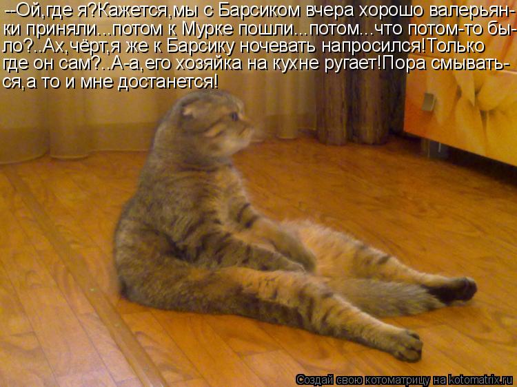 Котоматрица: --Ой,где я?Кажется,мы с Барсиком вчера хорошо валерьян- ки приняли...потом к Мурке пошли...потом...что потом-то бы- ло?..Ах,чёрт,я же к Барсику ноч