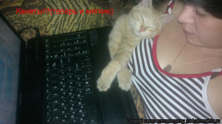 Котоматрица: Канаты!!!(теперь и мягкие)