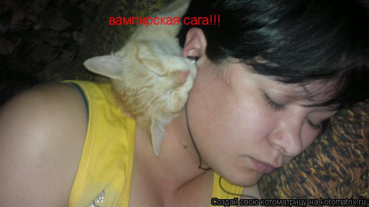 Котоматрица: вампирская сага!!!