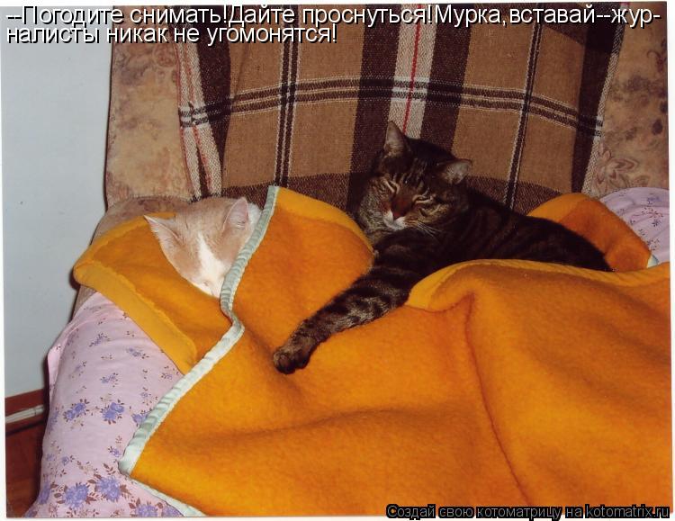 Котоматрица: --Погодите снимать!Дайте проснуться!Мурка,вставай--жур- налисты никак не угомонятся!