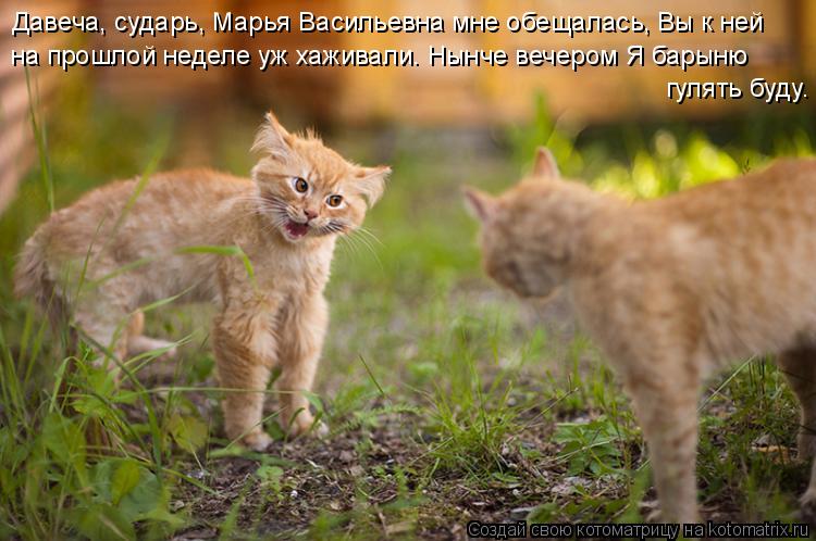 Котоматрица: Давеча, сударь, Марья Васильевна мне обещалась, Вы к ней на прошлой неделе уж хаживали. Нынче вечером Я барыню  гулять буду.