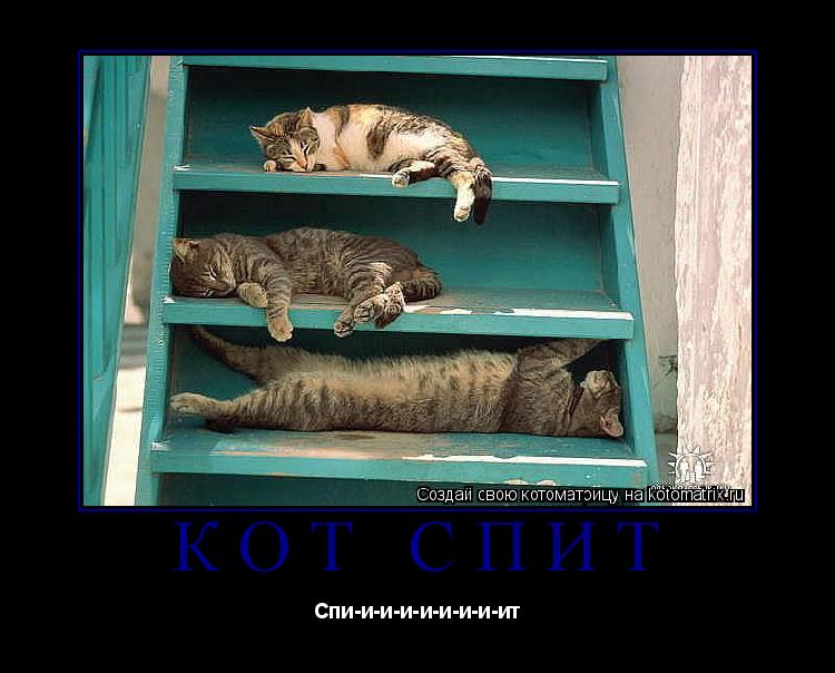 Котоматрица: Кот спит Спи-и-и-и-и-и-и-и-ит