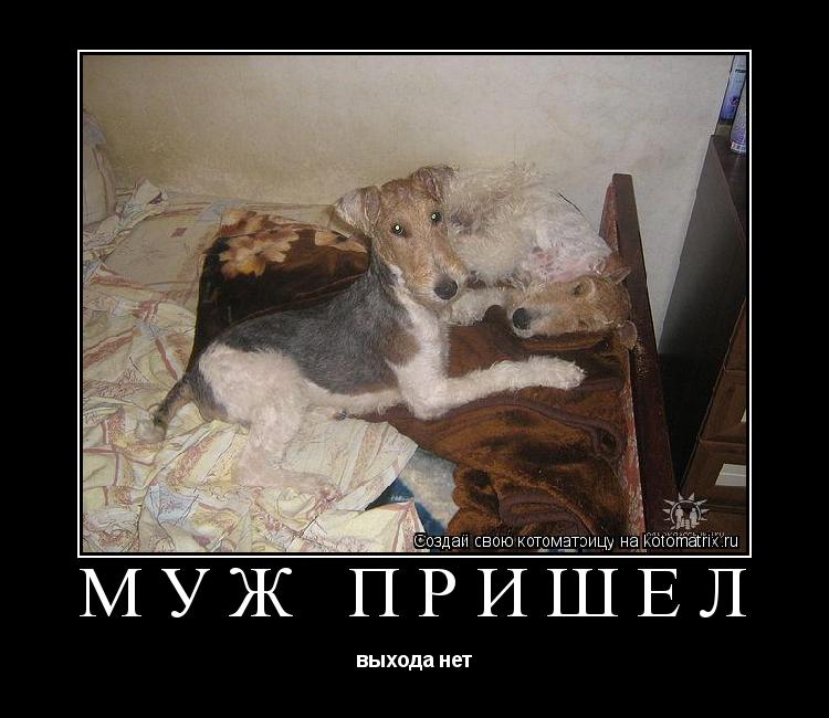 Котоматрица: Муж пришел выхода нет