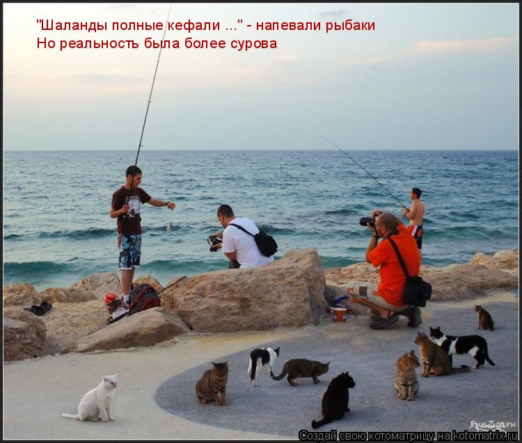 Котоматрица: "Шаланды полные кефали ..." - напевали рыбаки  "Шаланды полные кефали ..." - напевали рыбаки  Но реальность была более сурова
