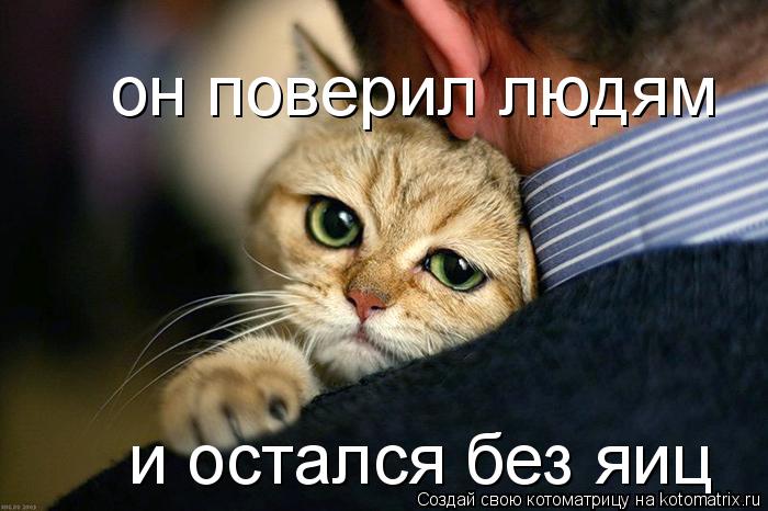 Котоматрица: он поверил людям и остался без яиц