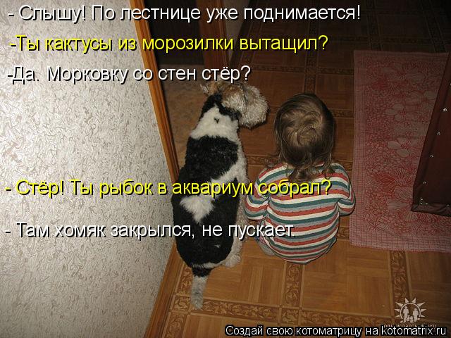 Котоматрица: - Слышу! По лестнице уже поднимается! -Ты кактусы из морозилки вытащил? -Да. Морковку со стен стёр? - Стёр! Ты рыбок в аквариум собрал? - Там хомя