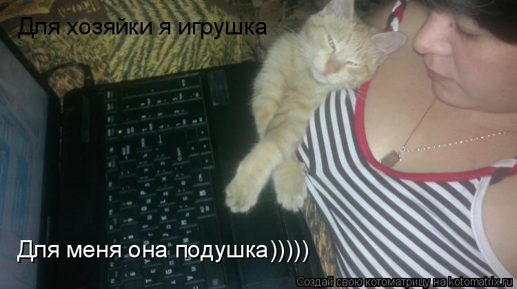 Котоматрица: Для хозяйки я игрушка Для меня она подушка)))))