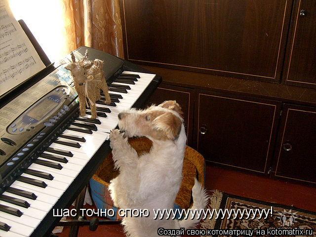 Котоматрица: шас точно спою ууууууууууууууууууу!