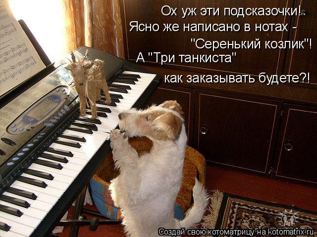 Котоматрица: Ох уж эти подсказочки!  Ясно же написано в нотах -  "Серенький козлик"! А "Три танкиста"  как заказывать будете?!