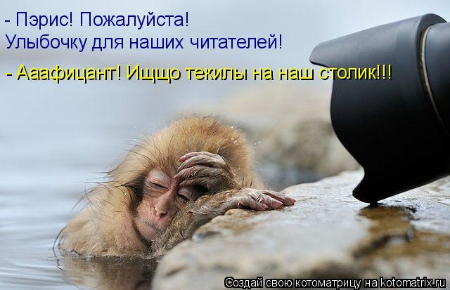 Котоматрица: - Пэрис! Пожалуйста!  Улыбочку для наших читателей! - Ааафицант! Ищщо текилы на наш столик!!!