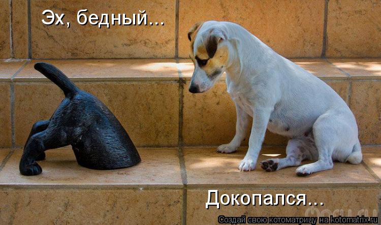 Котоматрица: Эх, бедный... Докопался...