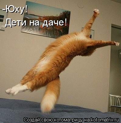 Котоматрица: -Юху! Дети на даче!