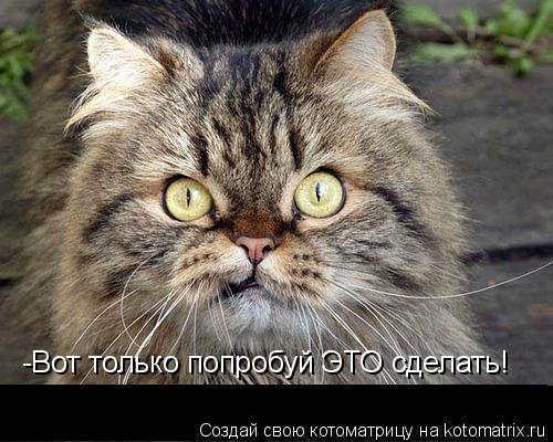 Котоматрица: -Вот только попробуй ЭТО сделать!