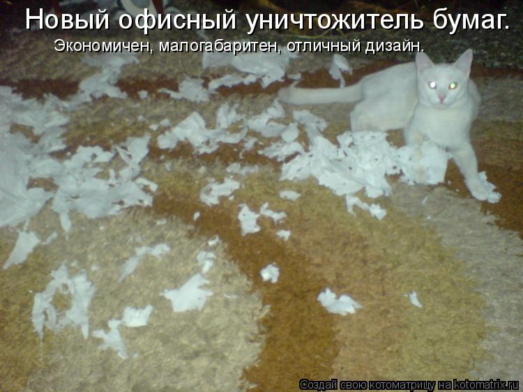 Котоматрица: Новый офисный уничтожитель бумаг. Экономичен, малогабаритен, отличный дизайн.