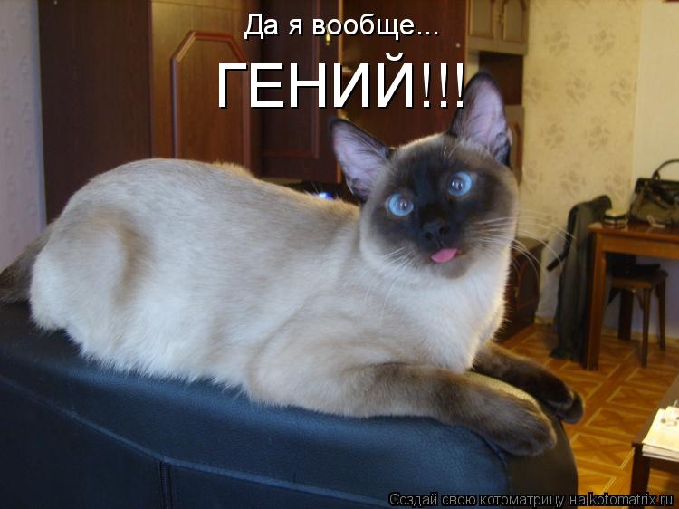 Котоматрица: Да я вообще...  ГЕНИЙ!!!
