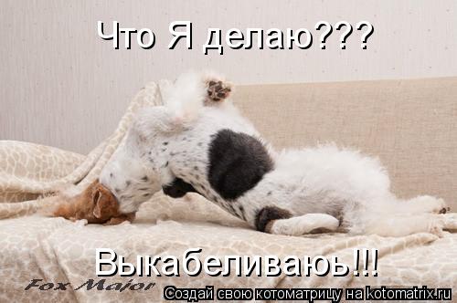 Котоматрица: Выкабеливаюь!!! Что Я делаю???