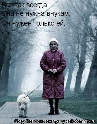 Котоматрица: Вот так всегда... Она не нужна внукам и Она не нужна внукам, Он нужен только ей.