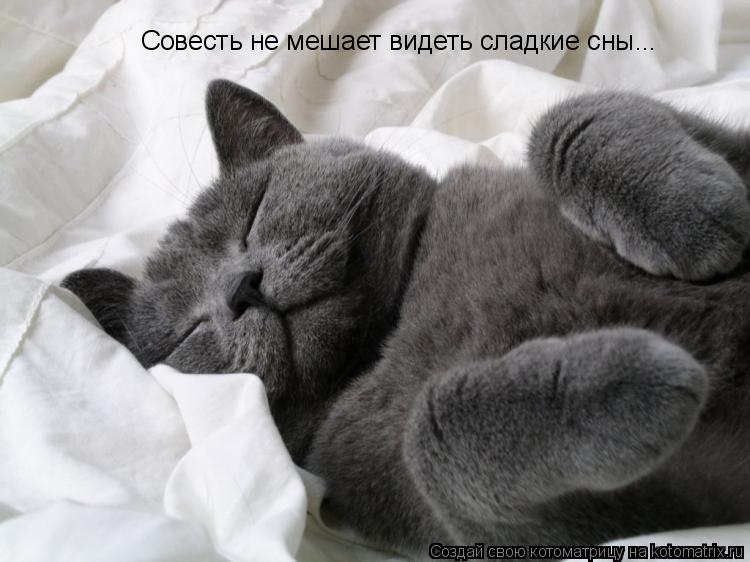 Котоматрица: Совесть не мешает видеть сладкие сны...