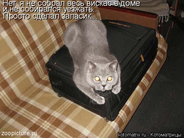 Котоматрица: Нет. я не собрал весь вискас в доме и не собирался уезжать... Просто сделал запасик...