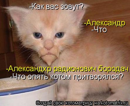 Котоматрица: -Как вас зовут? -Александр  -Что -Александхр радионович бородач -Что опять котом притворялся?