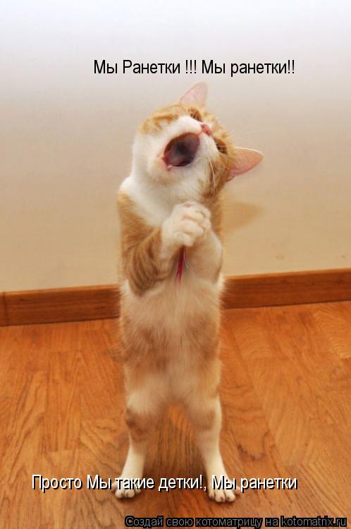Котоматрица: Мы Ранетки !!! Мы ранетки!! Просто Мы такие детки!, Мы ранетки
